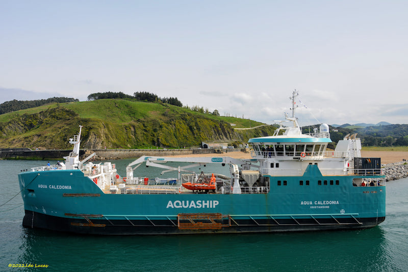 279590809_2758704717758416_1927395993298915137_n