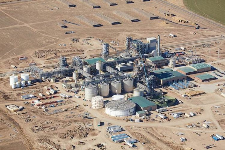 FLAGSHIP PLANT HUGOTON